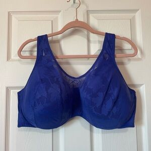 NWT Cacique Royal Blue Lace Bra 46DD